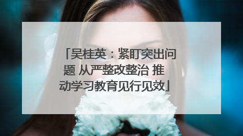 吴桂英：紧盯突出问题 从严整改整治 推动学习教育见行见效