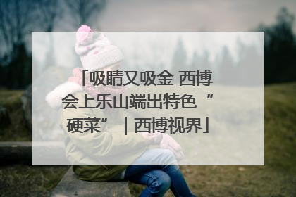 吸睛又吸金 西博会上乐山端出特色“硬菜”｜西博视界