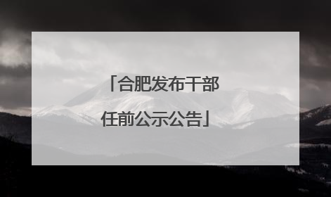 合肥发布干部任前公示公告