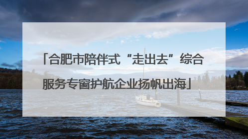 合肥市陪伴式“走出去”综合服务专窗护航企业扬帆出海