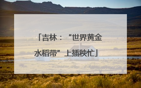 吉林：“世界黄金水稻带”上插秧忙