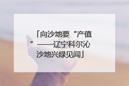 向沙地要“产值”——辽宁科尔沁沙地兴绿见闻