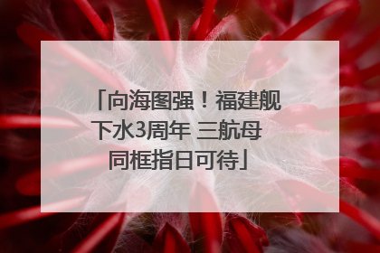 向海图强！福建舰下水3周年 三航母同框指日可待