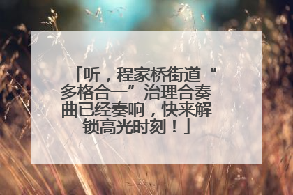 听，程家桥街道“多格合一”治理合奏曲已经奏响，快来解锁高光时刻！