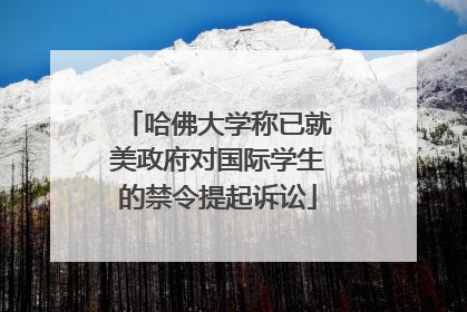 哈佛大学称已就美政府对国际学生的禁令提起诉讼
