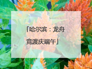哈尔滨：龙舟竞渡庆端午