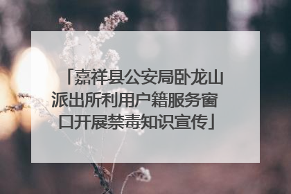 嘉祥县公安局卧龙山派出所利用户籍服务窗口开展禁毒知识宣传