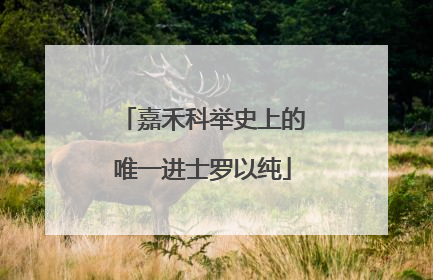 嘉禾科举史上的唯一进士罗以纯