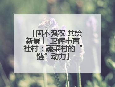 固本强农 共绘新景 ︳卫辉市南社村：蔬菜村的“链”动力