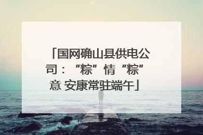 国网确山县供电公司：“粽”情“粽”意 安康常驻端午