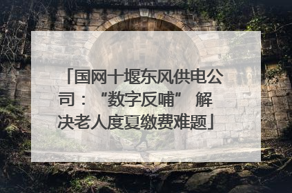 国网十堰东风供电公司：“数字反哺” 解决老人度夏缴费难题