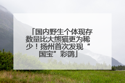 国内野生个体现存数量比大熊猫更为稀少！扬州首次发现“国宝”彩鹮