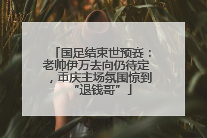 国足结束世预赛：老帅伊万去向仍待定，重庆主场氛围惊到“退钱哥”