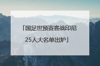 国足世预赛客战印尼25人大名单出炉