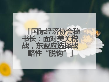 国际经济协会秘书长：面对美关税战，东盟应选择战略性“脱钩”