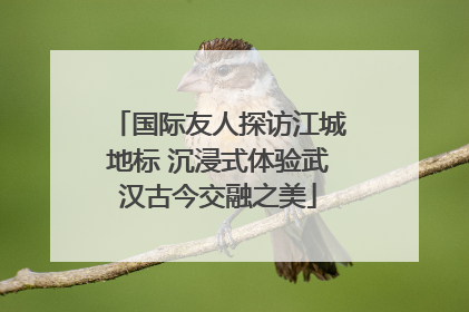 国际友人探访江城地标 沉浸式体验武汉古今交融之美