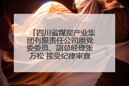 四川省煤炭产业集团有限责任公司原党委委员、副总经理张万松 接受纪律审查和监察调查