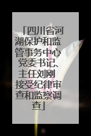 四川省河湖保护和监管事务中心党委书记、主任刘刚 接受纪律审查和监察调查
