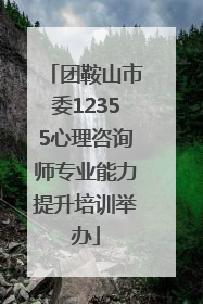 团鞍山市委12355心理咨询师专业能力提升培训举办