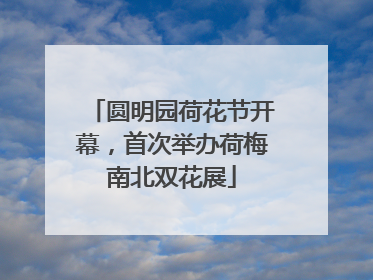 圆明园荷花节开幕，首次举办荷梅南北双花展