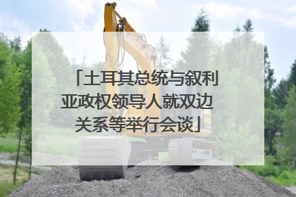 土耳其总统与叙利亚政权领导人就双边关系等举行会谈