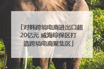 对韩跨境电商进出口超20亿元 威海综保区打造跨境电商聚集区