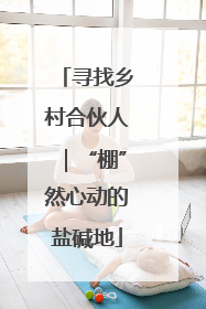 寻找乡村合伙人｜“棚”然心动的盐碱地