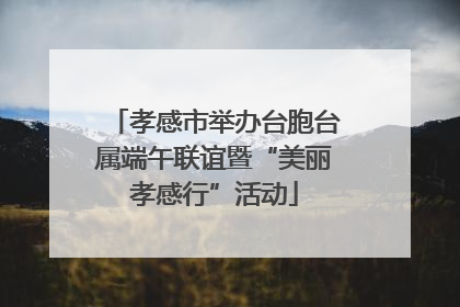孝感市举办台胞台属端午联谊暨“美丽孝感行”活动