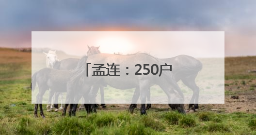 孟连：250户咖农喜领1605万元咖啡鲜果款