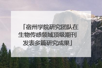 宿州学院研究团队在生物传感领域顶级期刊发表多篇研究成果