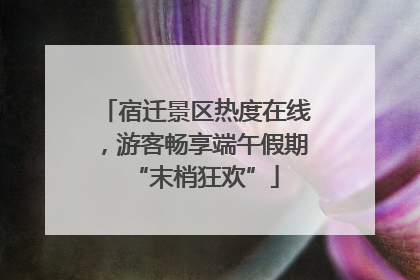 宿迁景区热度在线，游客畅享端午假期“末梢狂欢”
