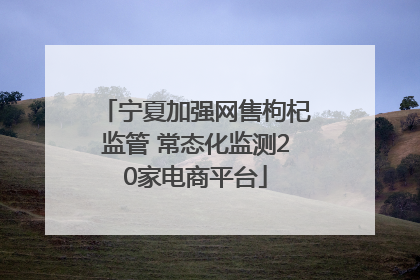 宁夏加强网售枸杞监管 常态化监测20家电商平台