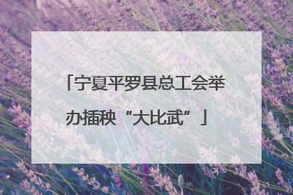 宁夏平罗县总工会举办插秧“大比武”