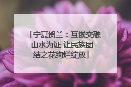 宁夏贺兰：互嵌交融 山水为证 让民族团结之花绚烂绽放