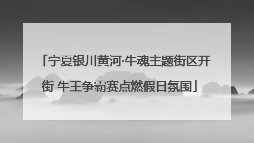 宁夏银川黄河·牛魂主题街区开街 牛王争霸赛点燃假日氛围
