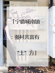 宁德城南镇：强村共富有“土”方