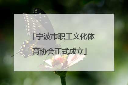 宁波市职工文化体育协会正式成立