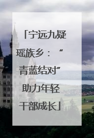 宁远九疑瑶族乡：“青蓝结对” 助力年轻干部成长