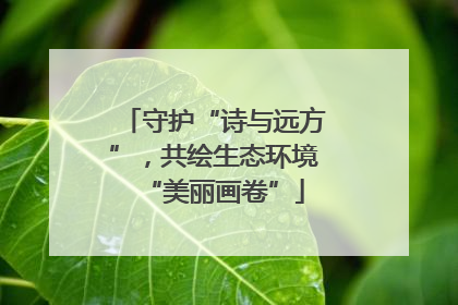 守护“诗与远方”，共绘生态环境“美丽画卷”