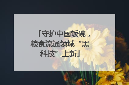 守护中国饭碗，粮食流通领域“黑科技”上新