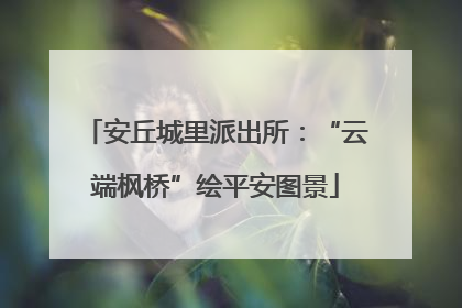 安丘城里派出所：“云端枫桥”绘平安图景