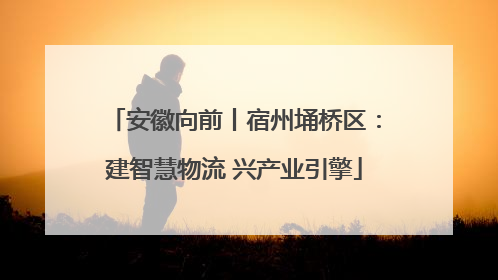 安徽向前丨宿州埇桥区：建智慧物流 兴产业引擎
