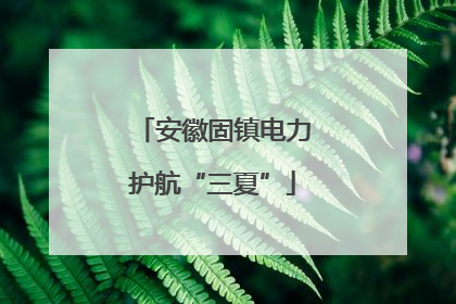 安徽固镇电力护航“三夏”