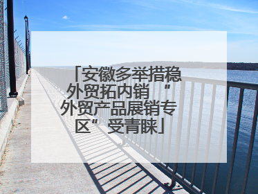 安徽多举措稳外贸拓内销 “外贸产品展销专区”受青睐