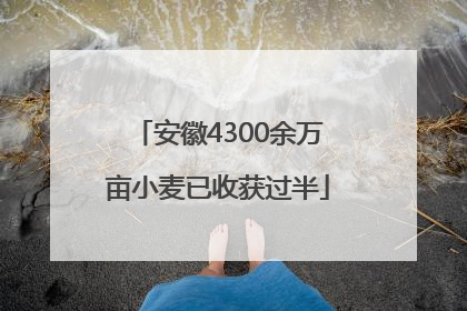 安徽4300余万亩小麦已收获过半