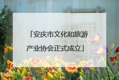 安庆市文化和旅游产业协会正式成立