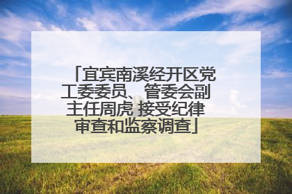 宜宾南溪经开区党工委委员、管委会副主任周虎 接受纪律审查和监察调查