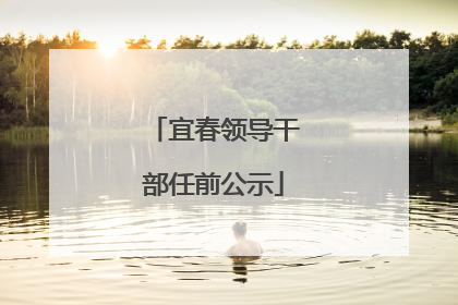 宜春领导干部任前公示