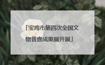 宝鸡市第四次全国文物普查成果展开展