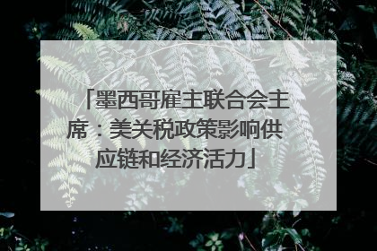 墨西哥雇主联合会主席：美关税政策影响供应链和经济活力